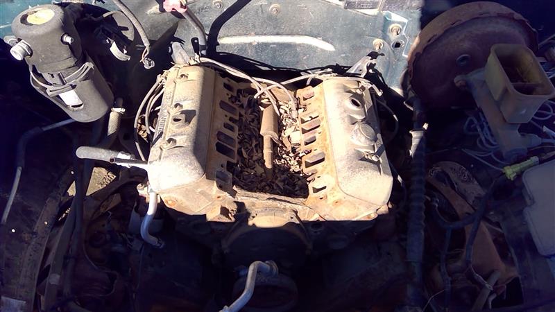 https://f005.backblazeb2.com/file/img-partshotlines-com/Inventory/EX941/Vehicle/6056_01.jpg