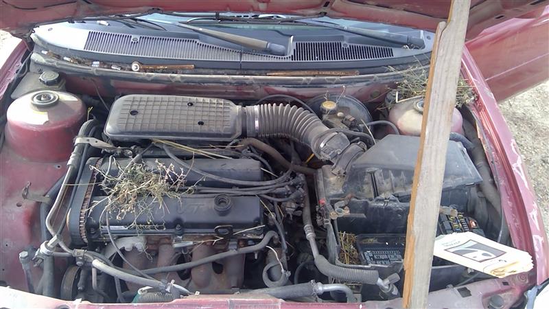 https://f005.backblazeb2.com/file/img-partshotlines-com/Inventory/EX941/Vehicle/6393_04.jpg