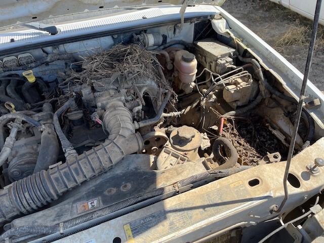 https://f005.backblazeb2.com/file/img-partshotlines-com/Inventory/EX941/Vehicle/6754_03.jpg