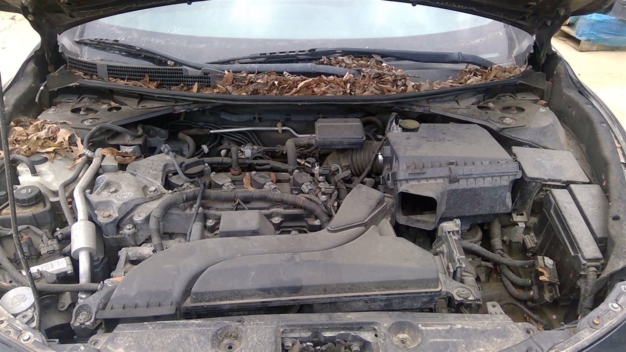 https://f005.backblazeb2.com/file/img-partshotlines-com/Inventory/EX941/Vehicle/6986_01.jpg