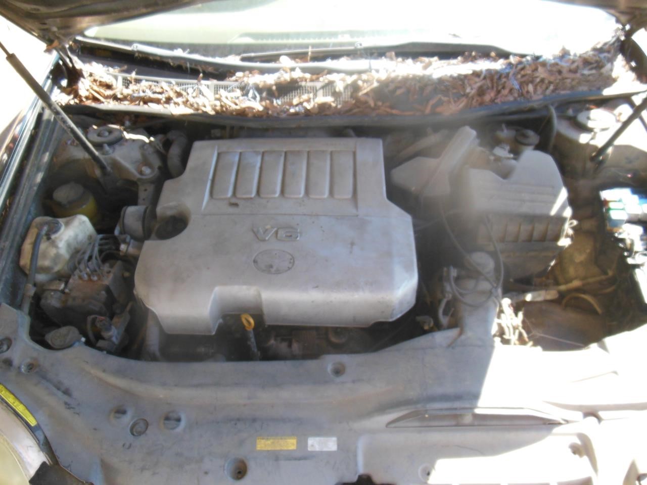 https://f005.backblazeb2.com/file/img-partshotlines-com/Inventory/EX941/Vehicle/7009_01.jpg