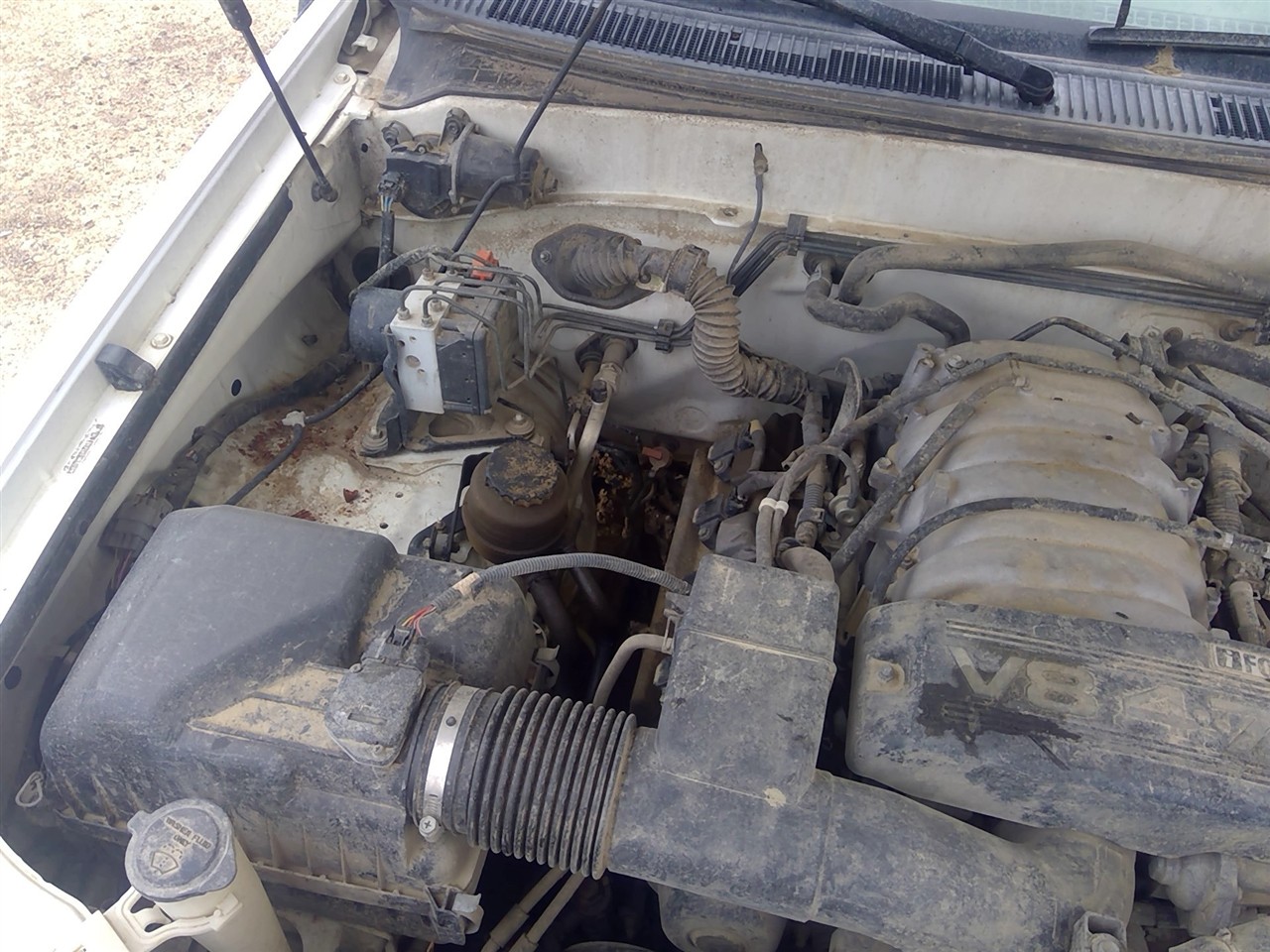 https://f005.backblazeb2.com/file/img-partshotlines-com/Inventory/EX941/Vehicle/7066_02.jpg