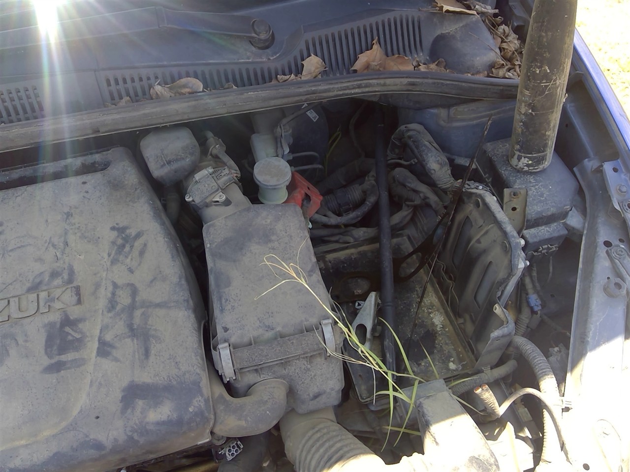 https://f005.backblazeb2.com/file/img-partshotlines-com/Inventory/EX941/Vehicle/7173_03.jpg