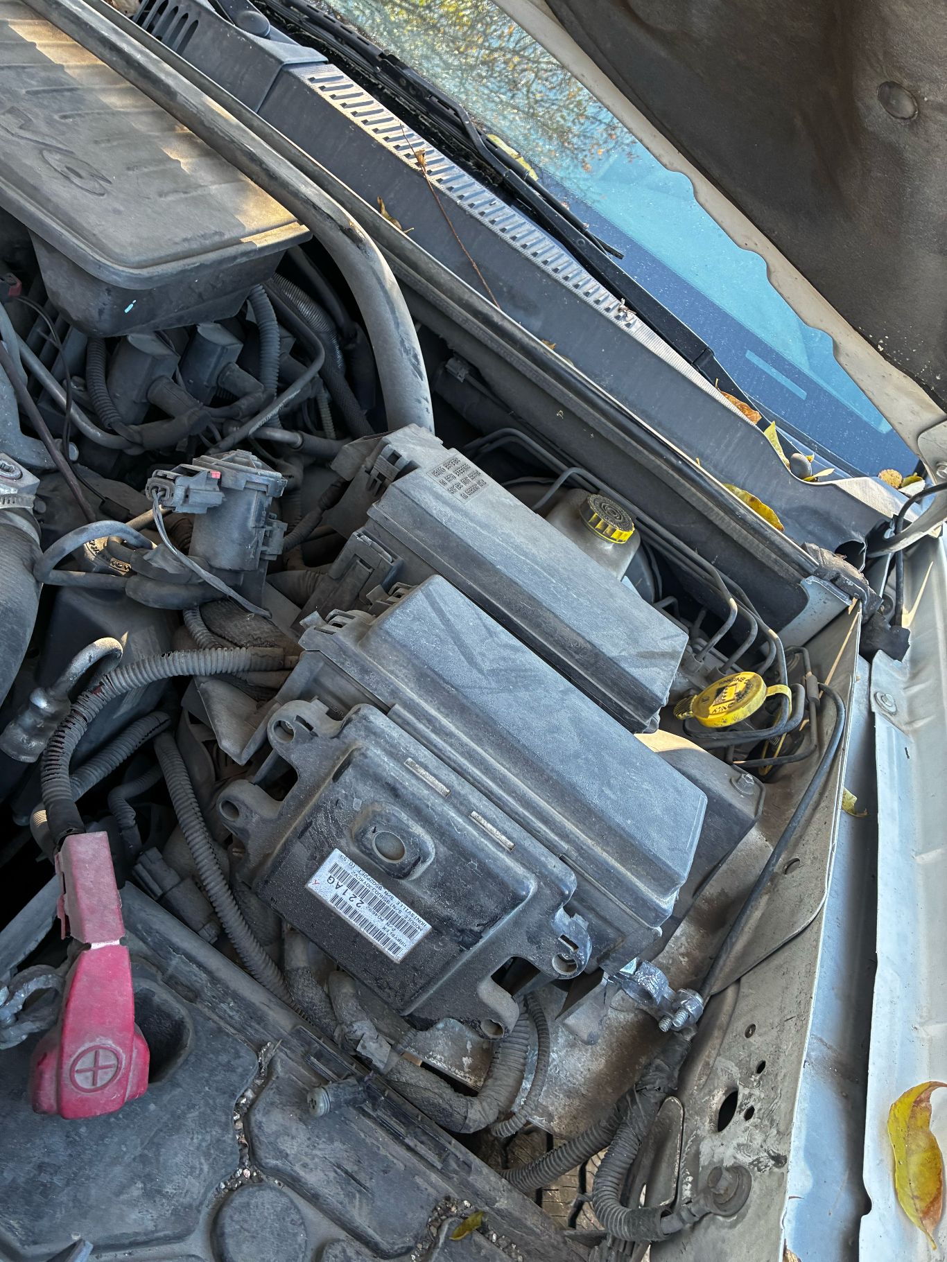https://f005.backblazeb2.com/file/img-partshotlines-com/Inventory/EX973/2025/12255792/D183E46D26194D698999A469AF4A2E23008.jpg