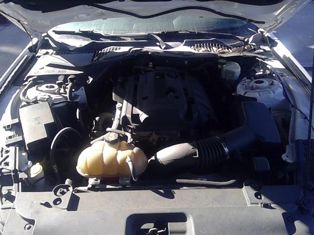 Vehicle/104732_02.jpg