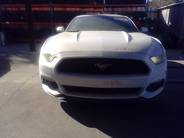 Vehicle/104732_08.jpg