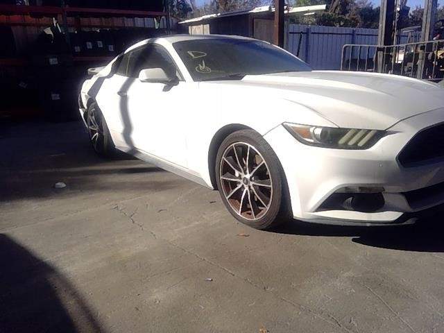 Vehicle/104732_09.jpg