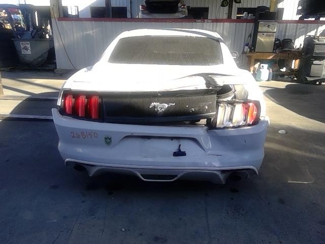 Vehicle/104732_12.jpg