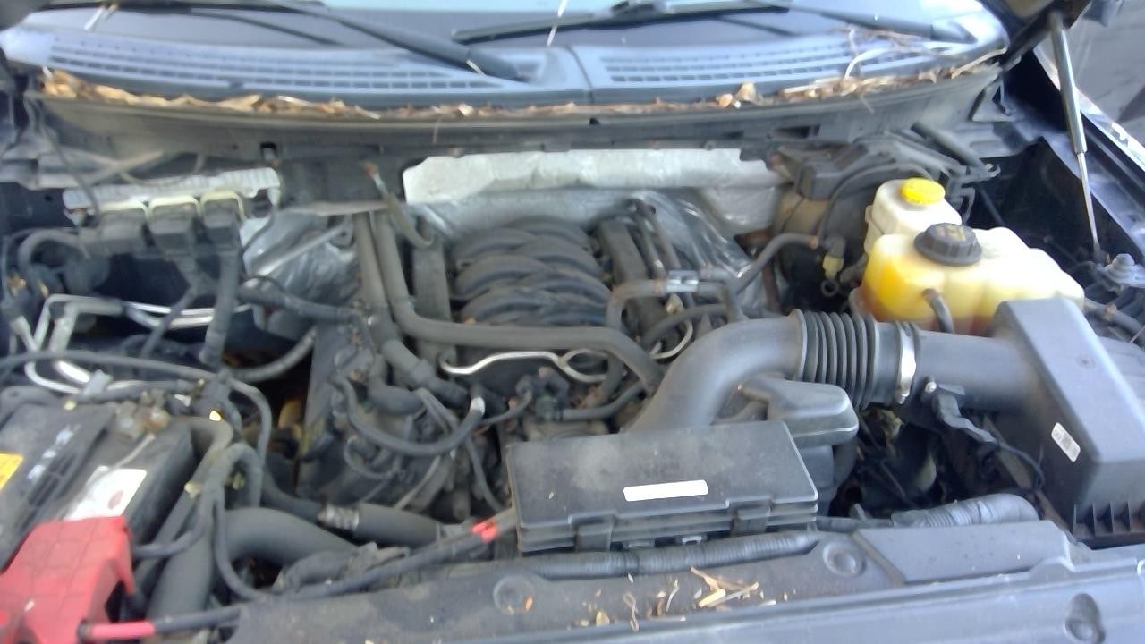 Vehicle/108345_02.jpg