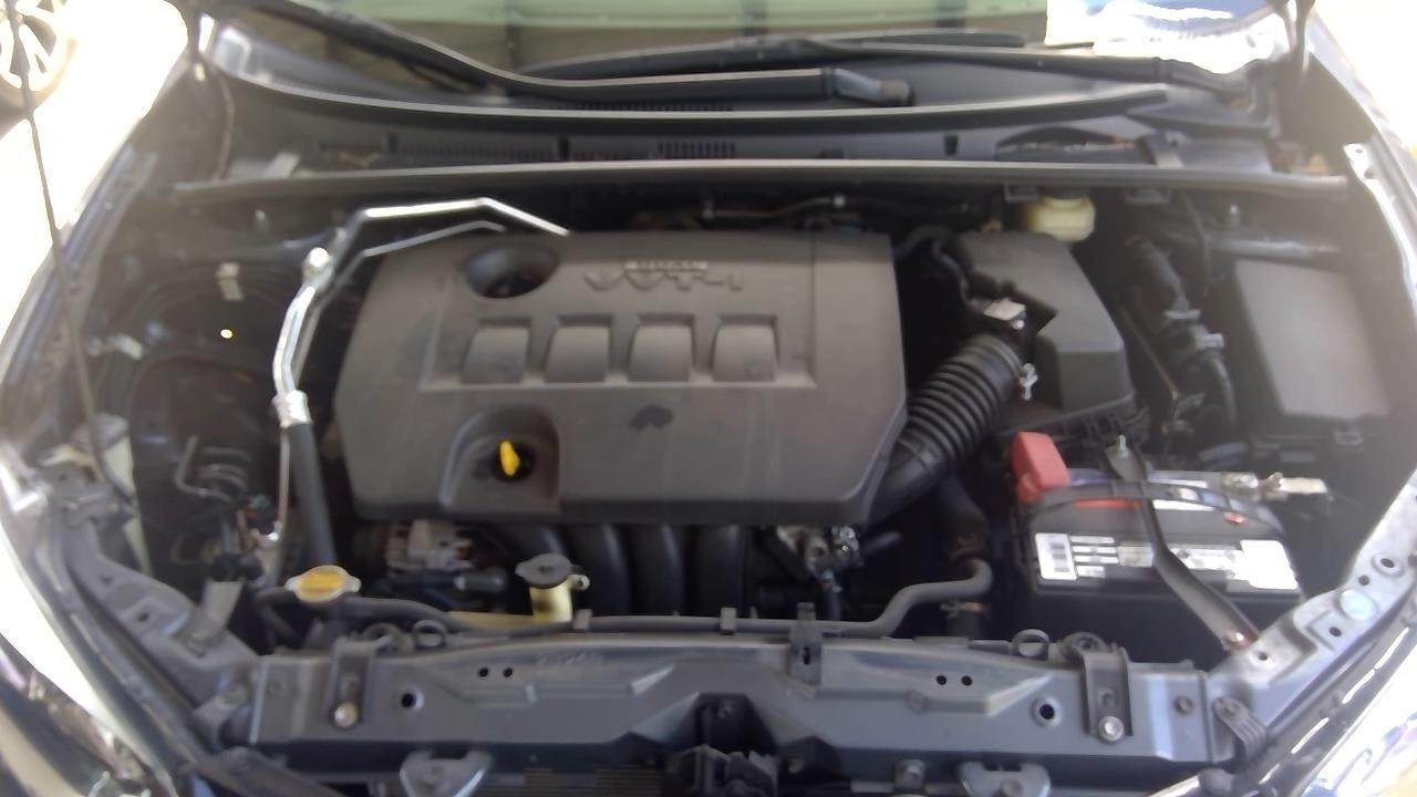 Vehicle/109162_02.jpg