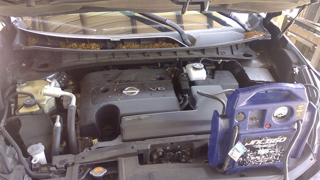 Vehicle/99333_02.jpg