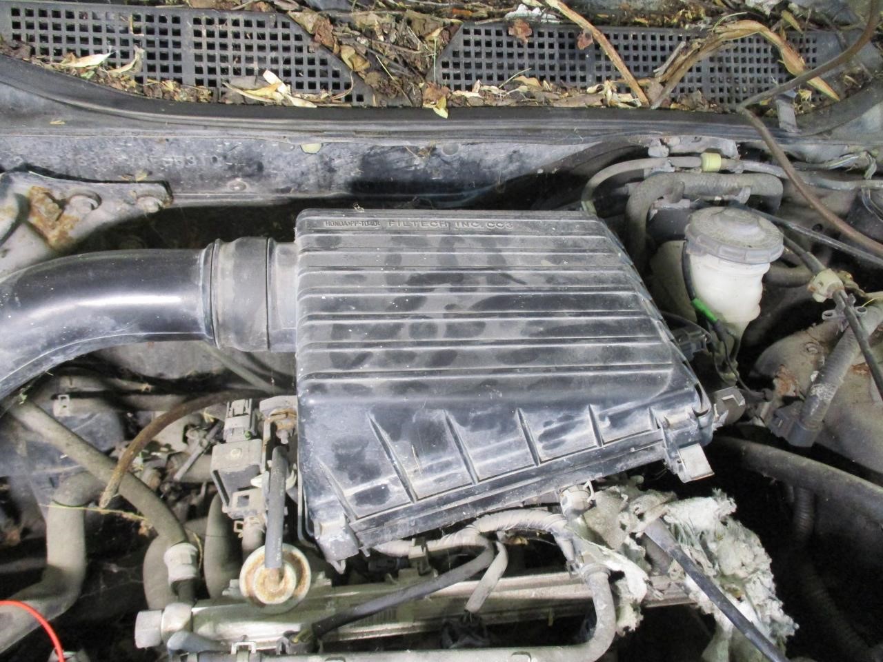 https://f005.backblazeb2.com/file/img-partshotlines-com/Inventory/MA185/Vehicle/108148_11.jpg