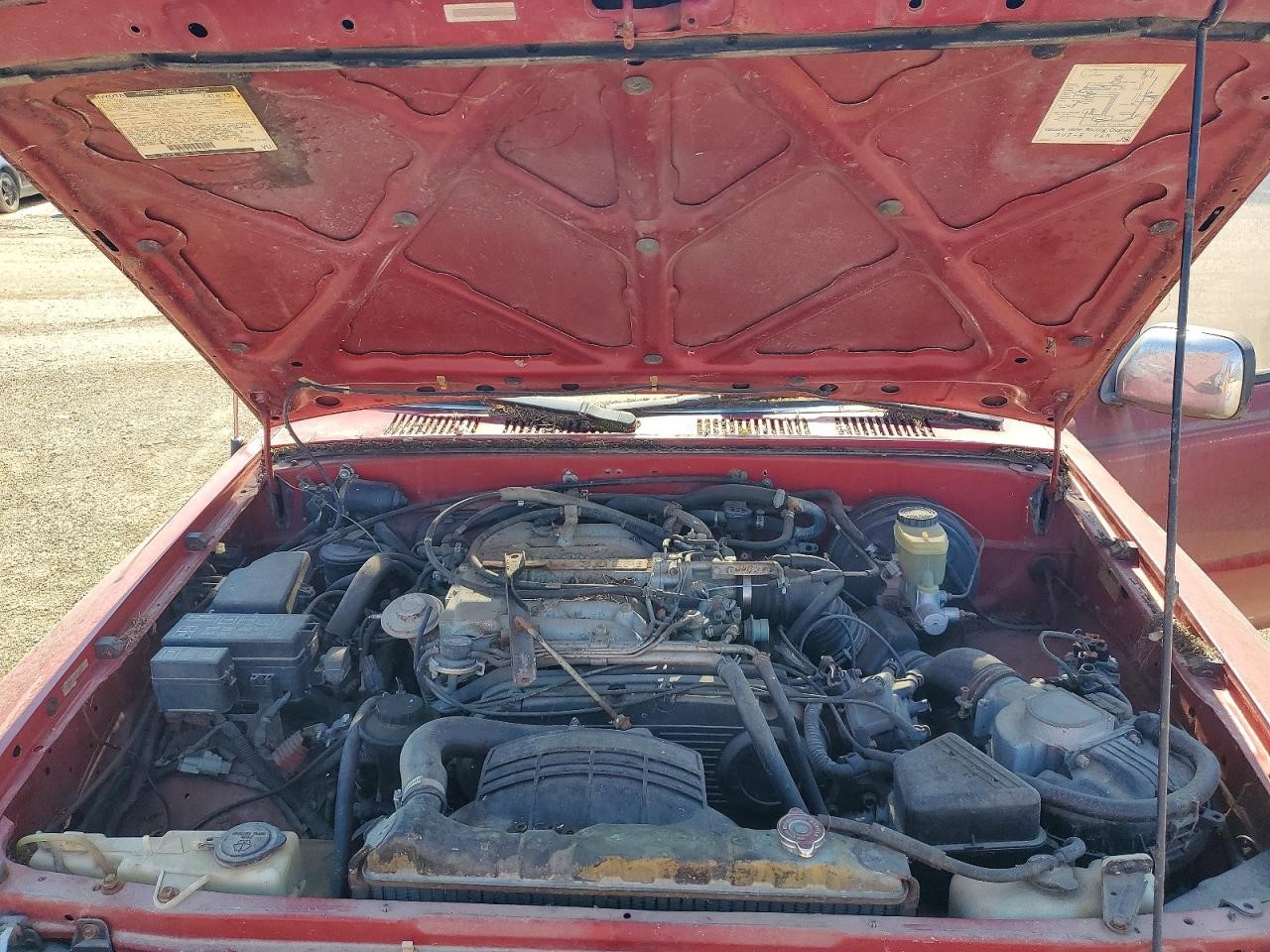 https://f005.backblazeb2.com/file/img-partshotlines-com/Inventory/MA185/Vehicle/108180_12.jpg