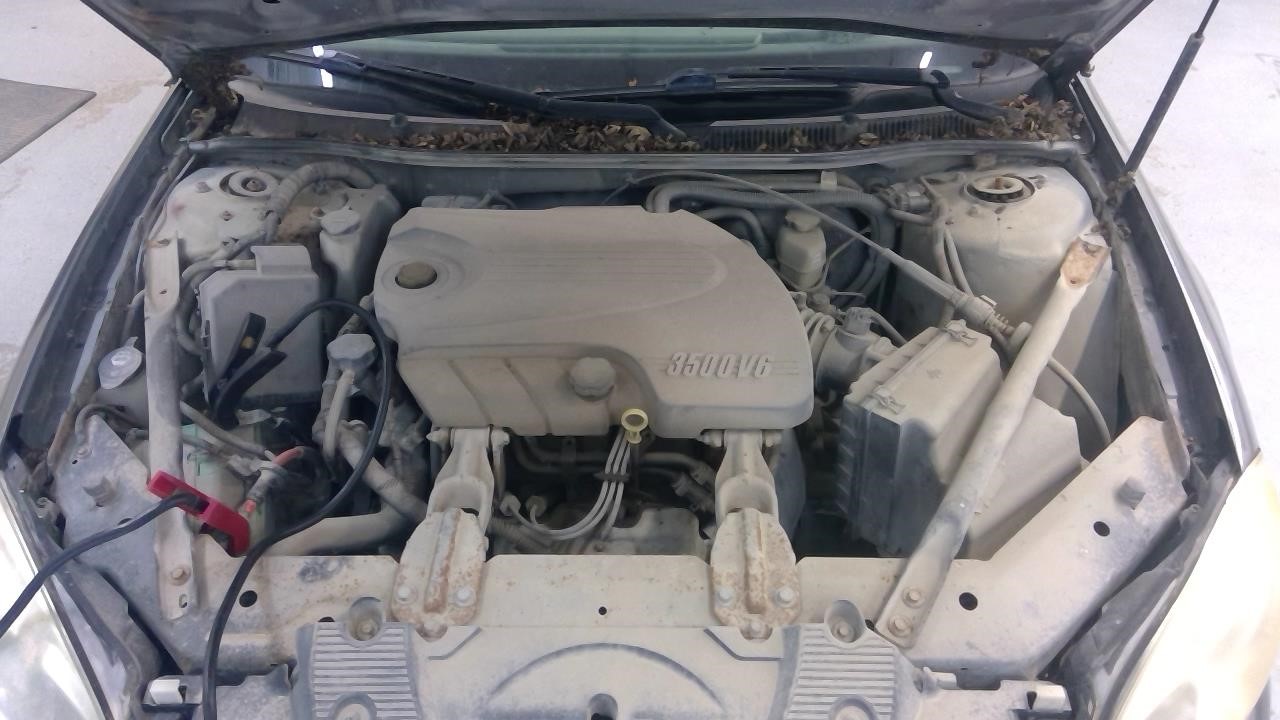 https://f005.backblazeb2.com/file/img-partshotlines-com/Inventory/MA185/Vehicle/109456_07.jpg