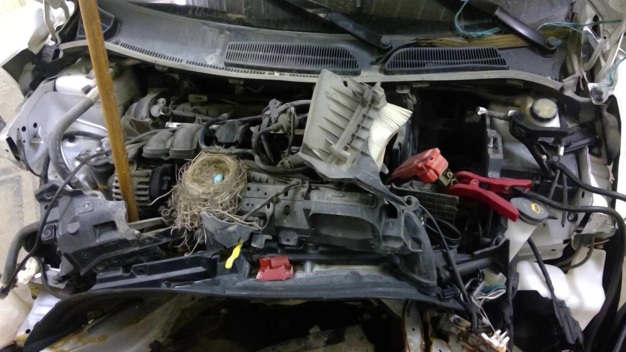 https://f005.backblazeb2.com/file/img-partshotlines-com/Inventory/MA185/Vehicle/98621_07.jpg