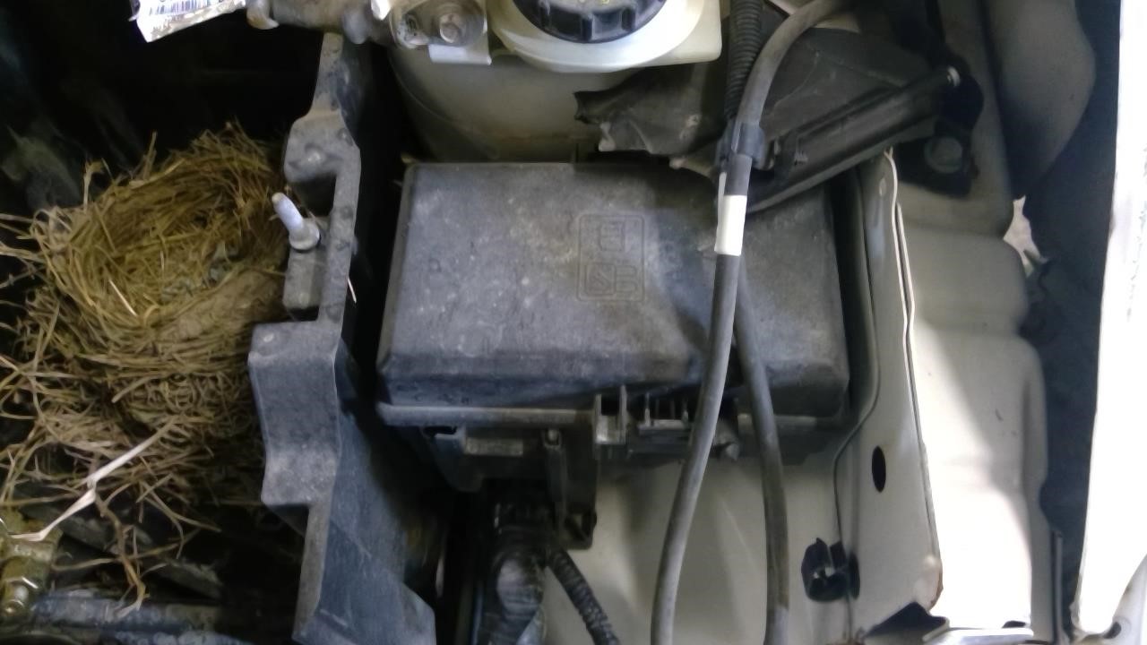 https://f005.backblazeb2.com/file/img-partshotlines-com/Inventory/MA185/Vehicle/98621_11.jpg