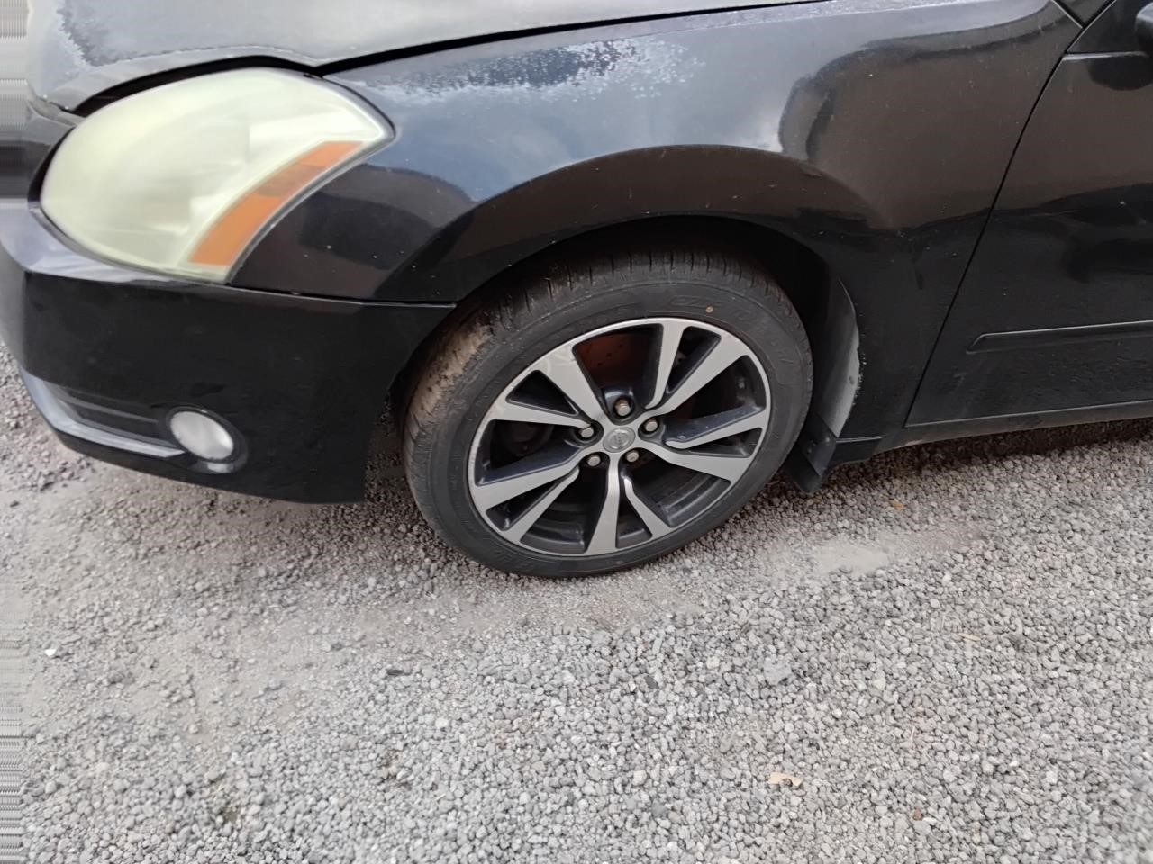 https://f005.backblazeb2.com/file/img-partshotlines-com/Inventory/MA194/Vehicle/19209_10.jpg