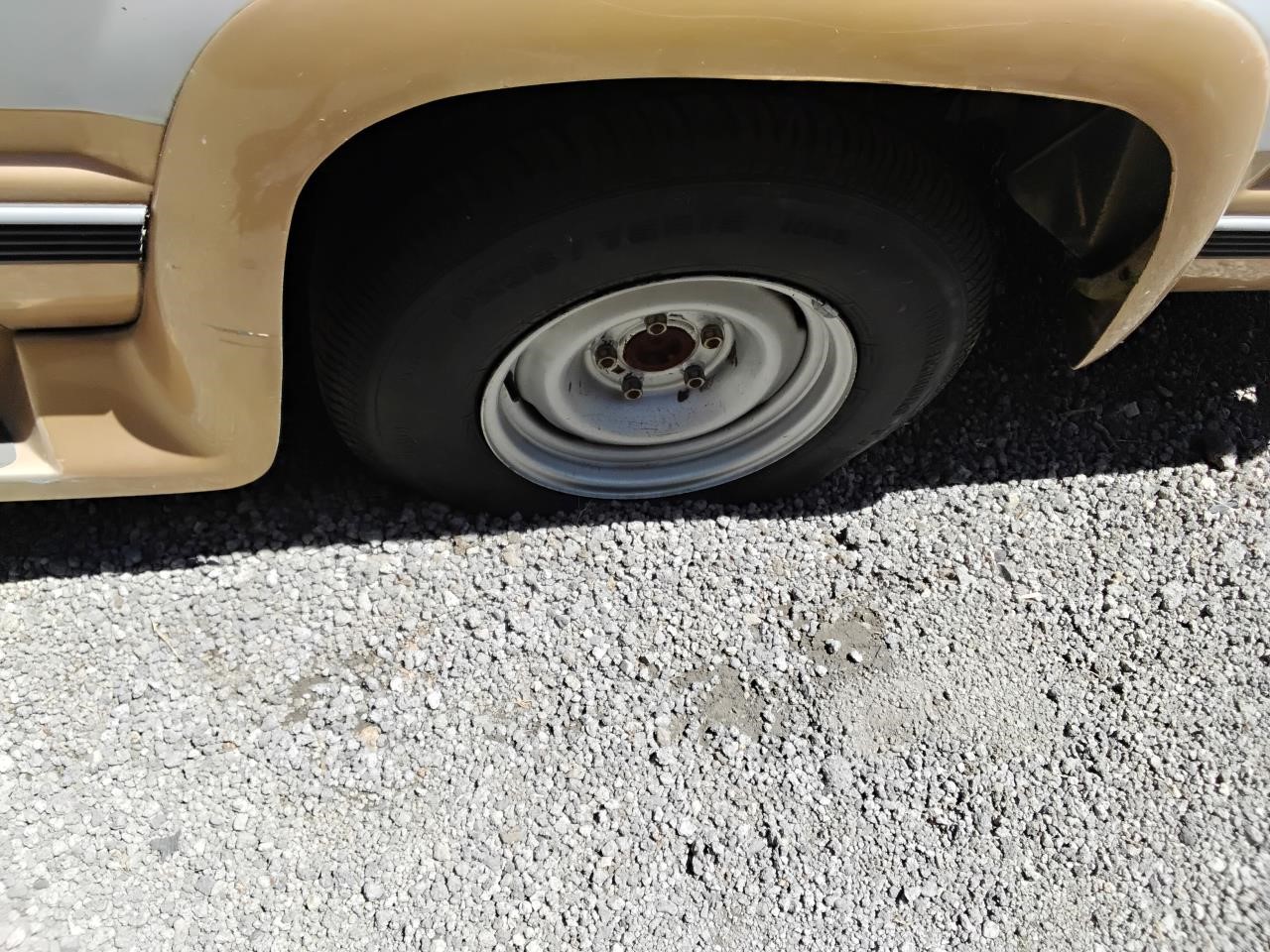 https://f005.backblazeb2.com/file/img-partshotlines-com/Inventory/MA194/Vehicle/19723_08.jpg