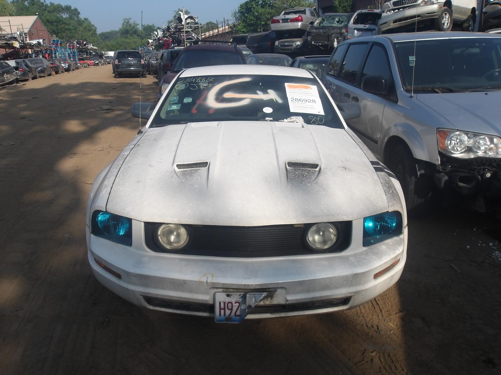 c/c/i/b/h/i/77b54040-2ec1-450e-aac2-8d2d4f9ca9e2.JPG
