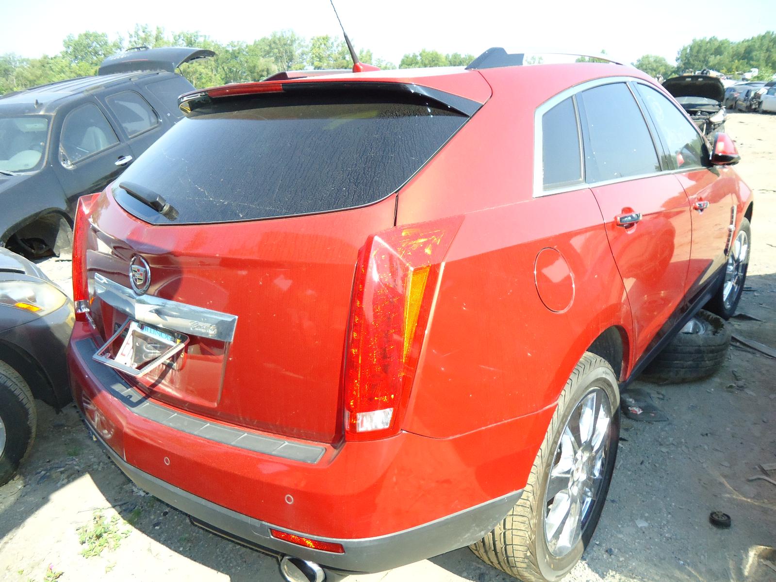 c/d/i/e/i/a/a3d3017b-a1e9-45bd-8589-4c09b9170835.JPG