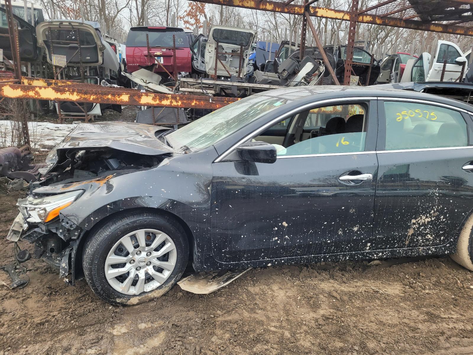 c/e/d/i/e/b/0edc7457-5603-4df4-9e96-70c5047cc413.jpg