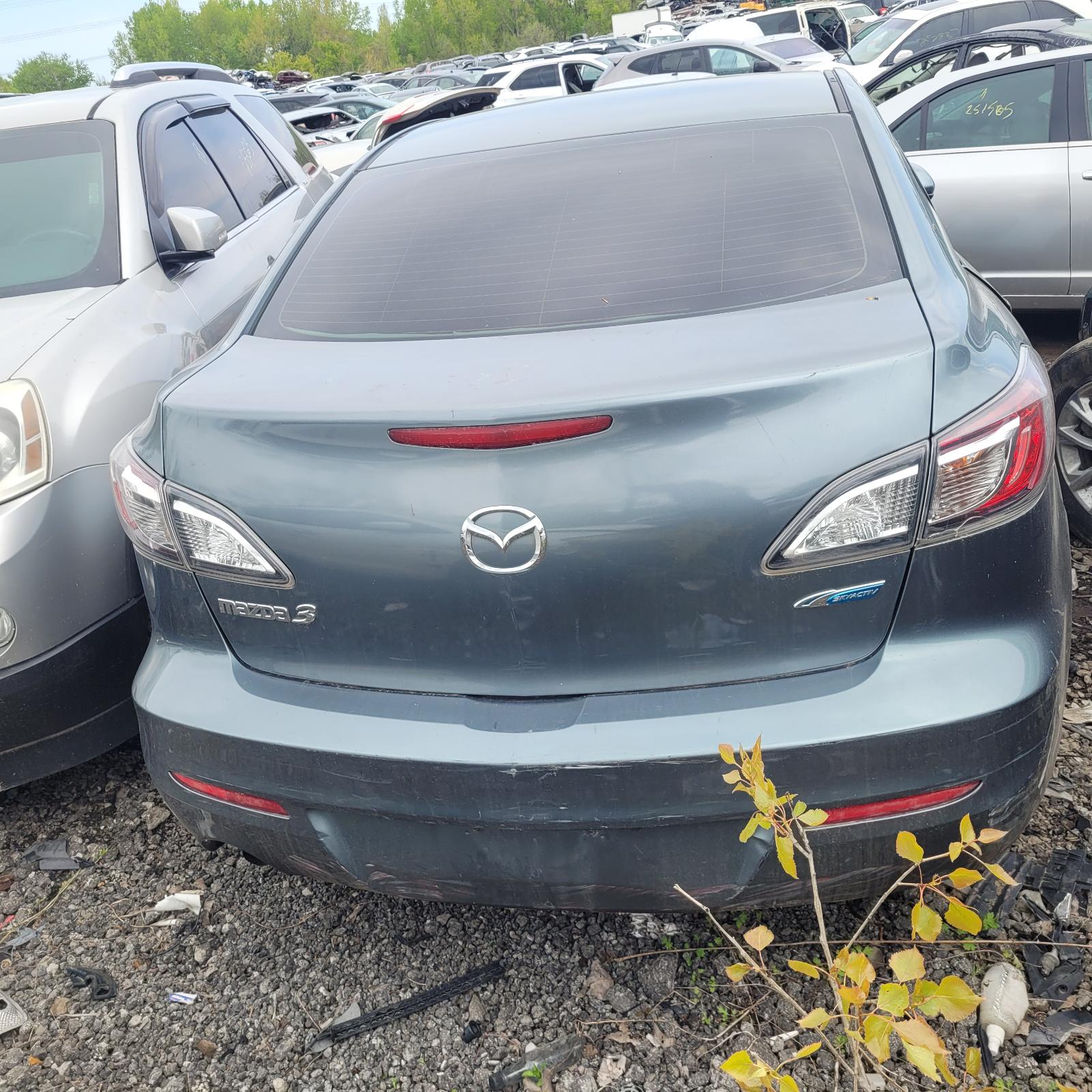 c/e/f/j/g/b/82dd9644-1971-4cba-81cd-40dce01ba5f8.jpg