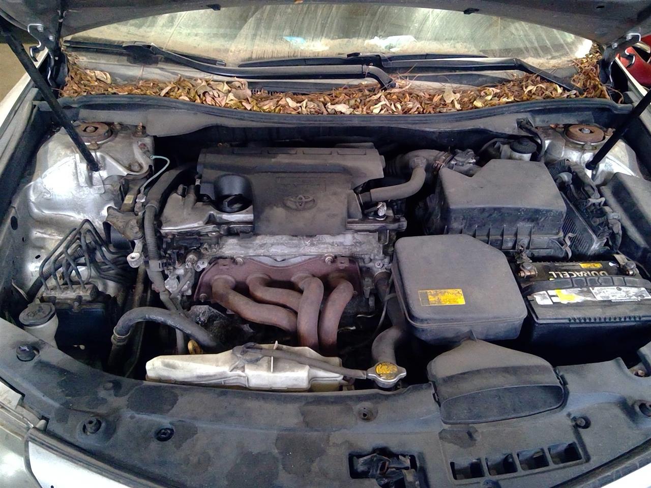 https://f005.backblazeb2.com/file/img-partshotlines-com/Inventory/MA244/Vehicle/153693_09.jpg