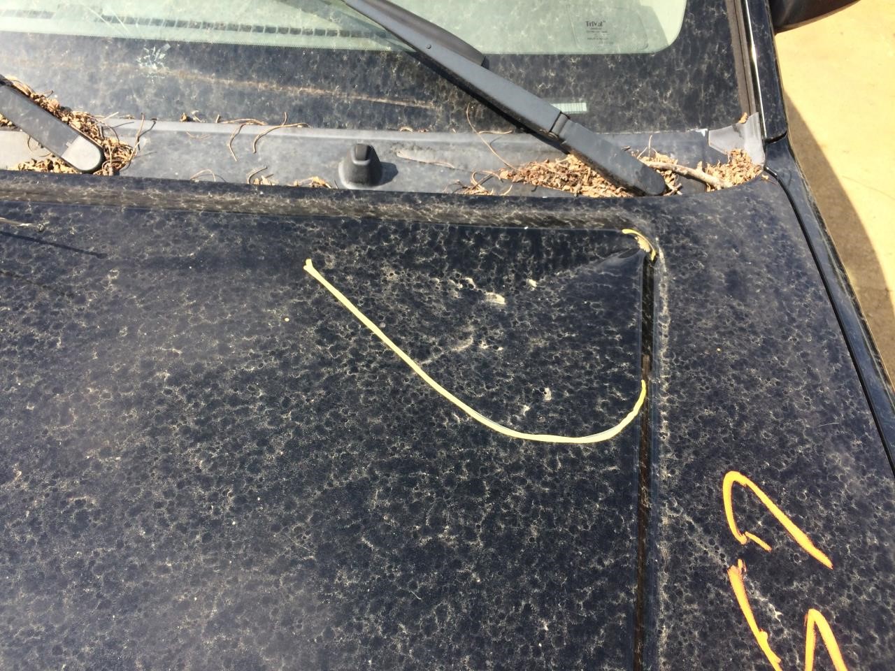 https://f005.backblazeb2.com/file/img-partshotlines-com/Inventory/MA314/Vehicle/7639_07.jpg