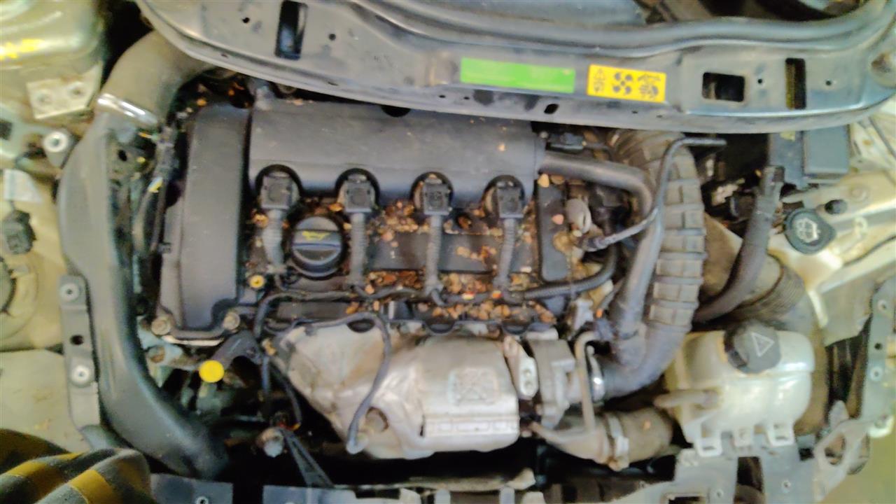 https://f005.backblazeb2.com/file/img-partshotlines-com/Inventory/MA314/Vehicle/7778_01.jpg