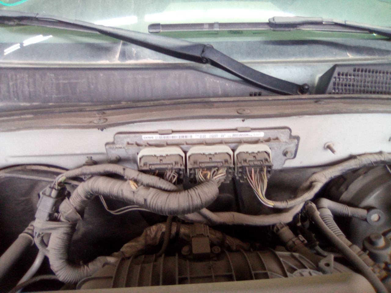 https://f005.backblazeb2.com/file/img-partshotlines-com/Inventory/MA472/Vehicle/26378_07.jpg