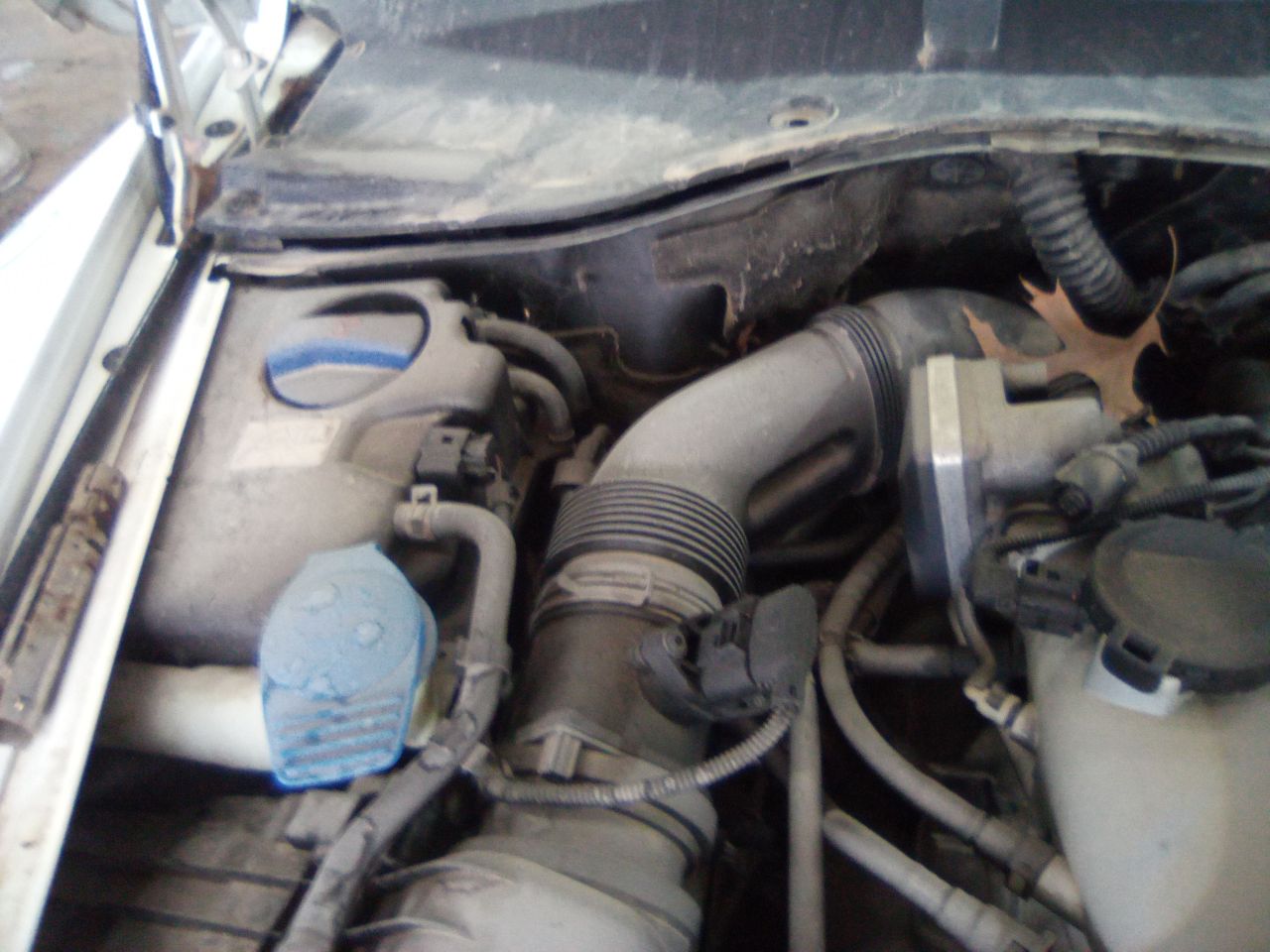 https://f005.backblazeb2.com/file/img-partshotlines-com/Inventory/MA472/Vehicle/26418_06.jpg