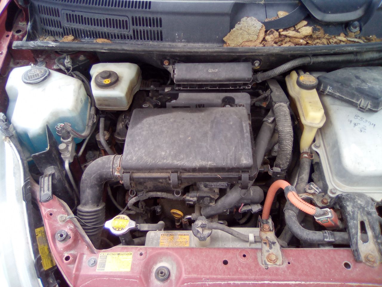 https://f005.backblazeb2.com/file/img-partshotlines-com/Inventory/MA472/Vehicle/27051_05.jpg