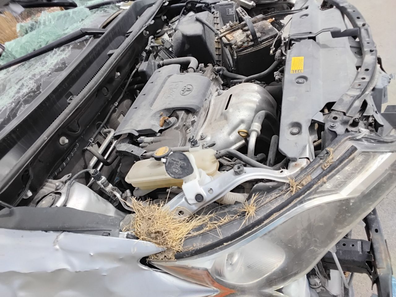 https://f005.backblazeb2.com/file/img-partshotlines-com/Inventory/MA472/Vehicle/28082_06.jpg