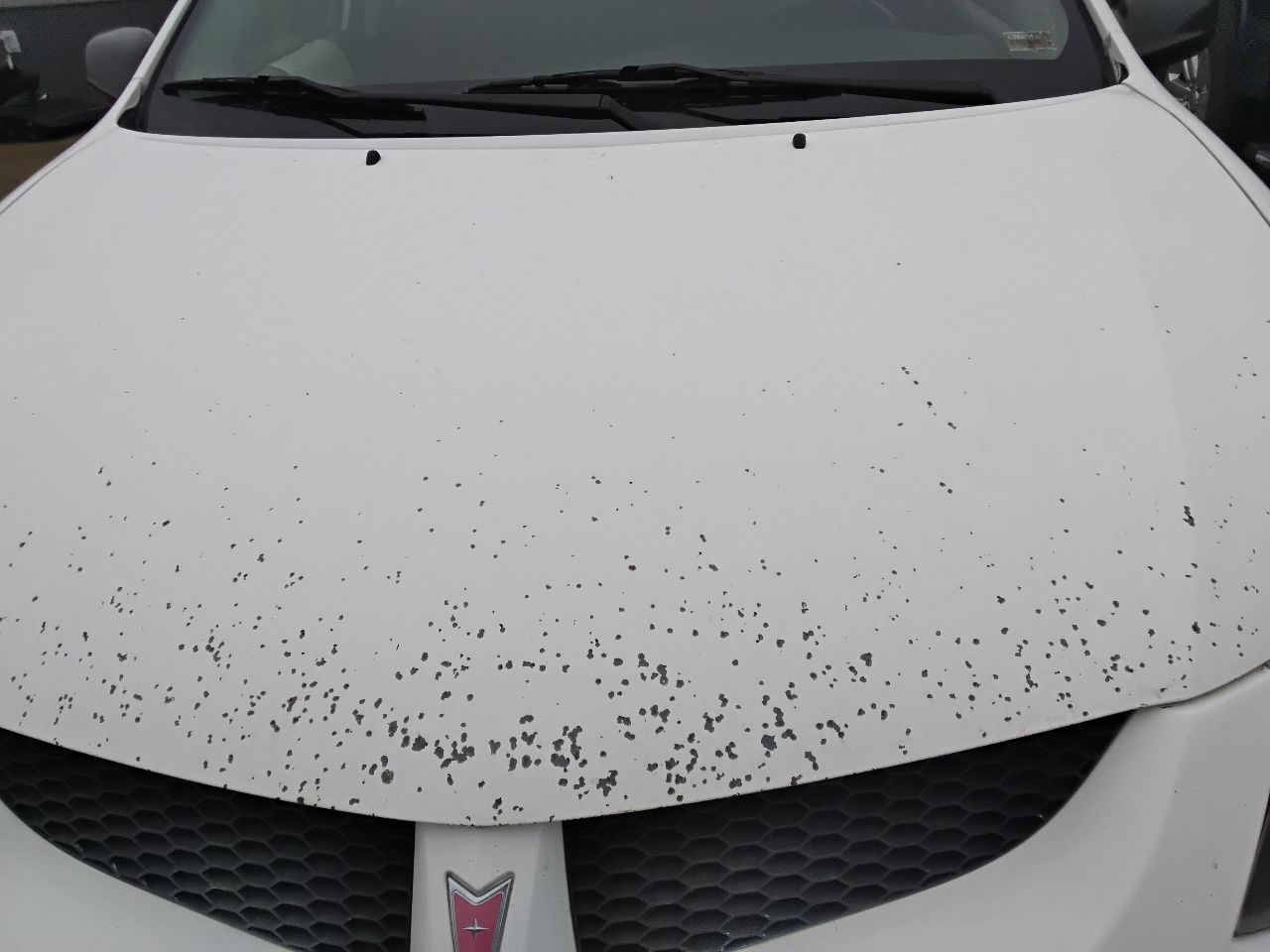 https://f005.backblazeb2.com/file/img-partshotlines-com/Inventory/MA472/Vehicle/28742_09.jpg