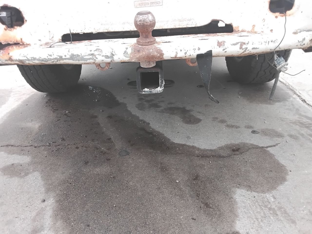 https://f005.backblazeb2.com/file/img-partshotlines-com/Inventory/MA472/Vehicle/29448_12.jpg