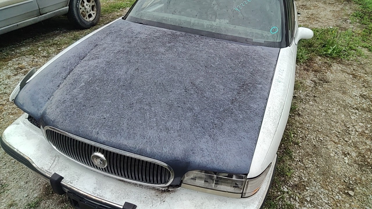 https://f005.backblazeb2.com/file/img-partshotlines-com/Inventory/MA472/Vehicle/29473_09.jpg