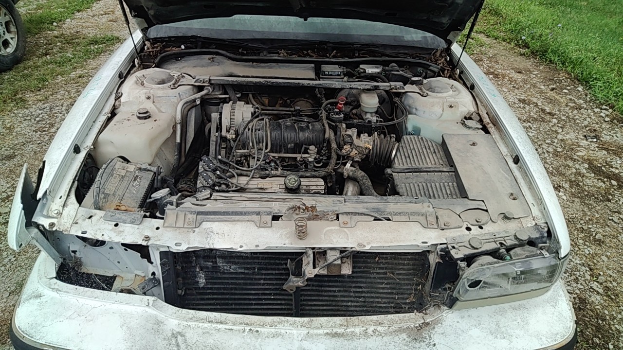 https://f005.backblazeb2.com/file/img-partshotlines-com/Inventory/MA472/Vehicle/29473_10.jpg