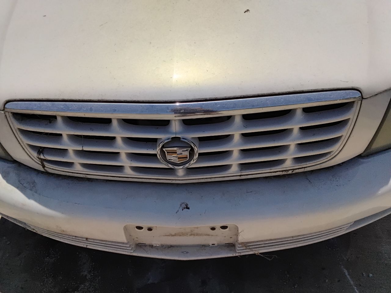 https://f005.backblazeb2.com/file/img-partshotlines-com/Inventory/MA472/Vehicle/29760_04.jpg