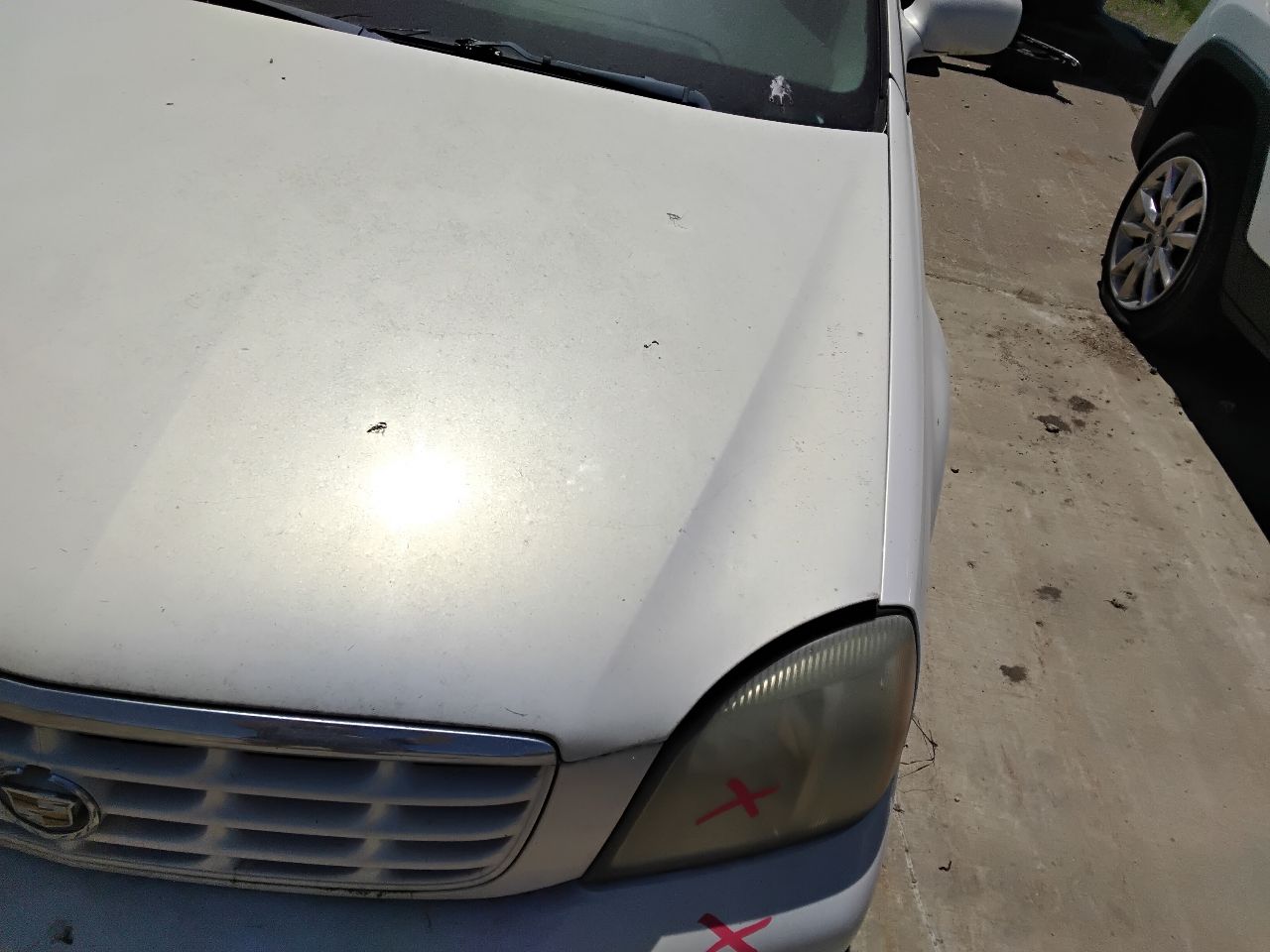 https://f005.backblazeb2.com/file/img-partshotlines-com/Inventory/MA472/Vehicle/29760_06.jpg