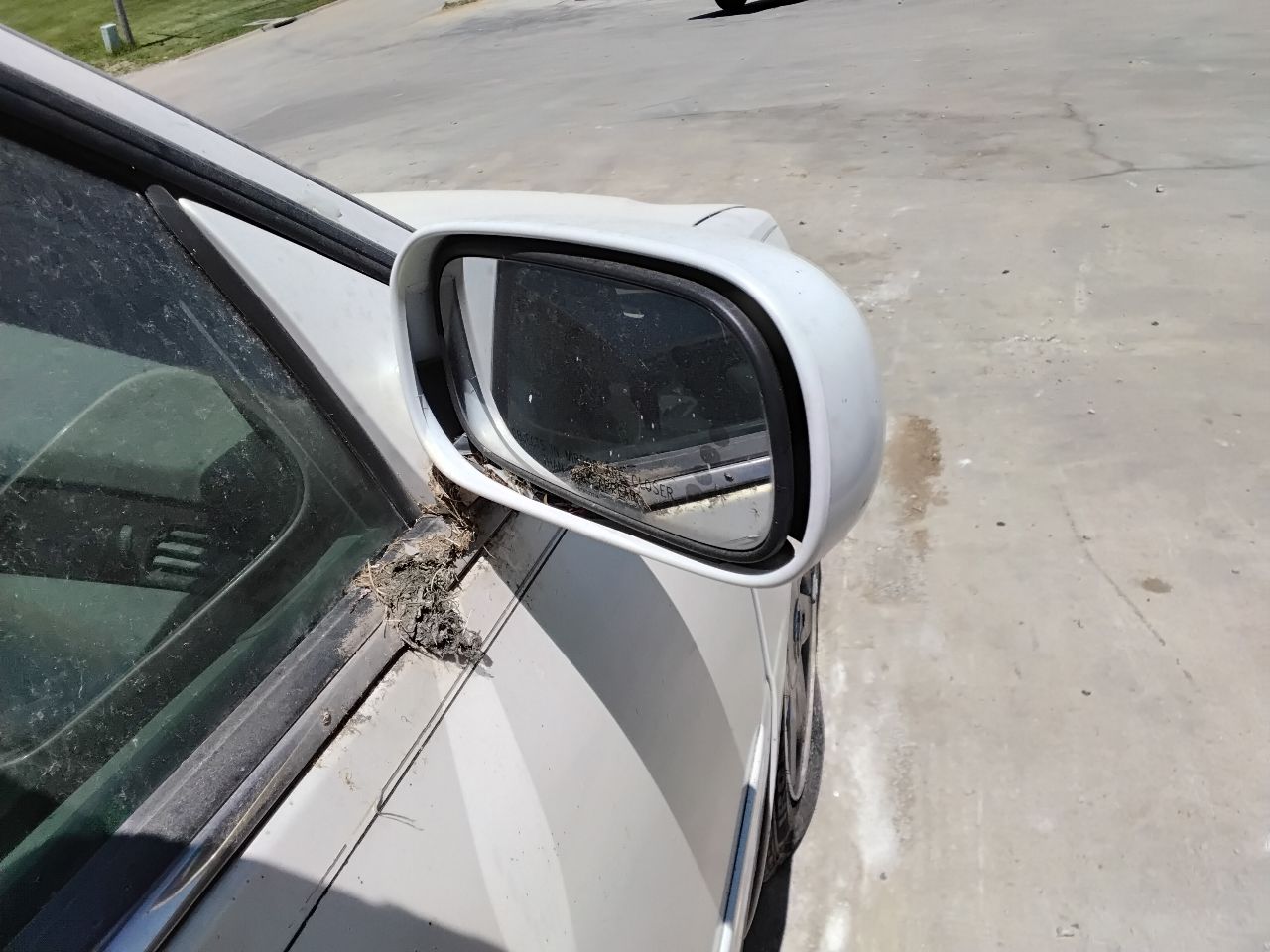 https://f005.backblazeb2.com/file/img-partshotlines-com/Inventory/MA472/Vehicle/29760_11.jpg