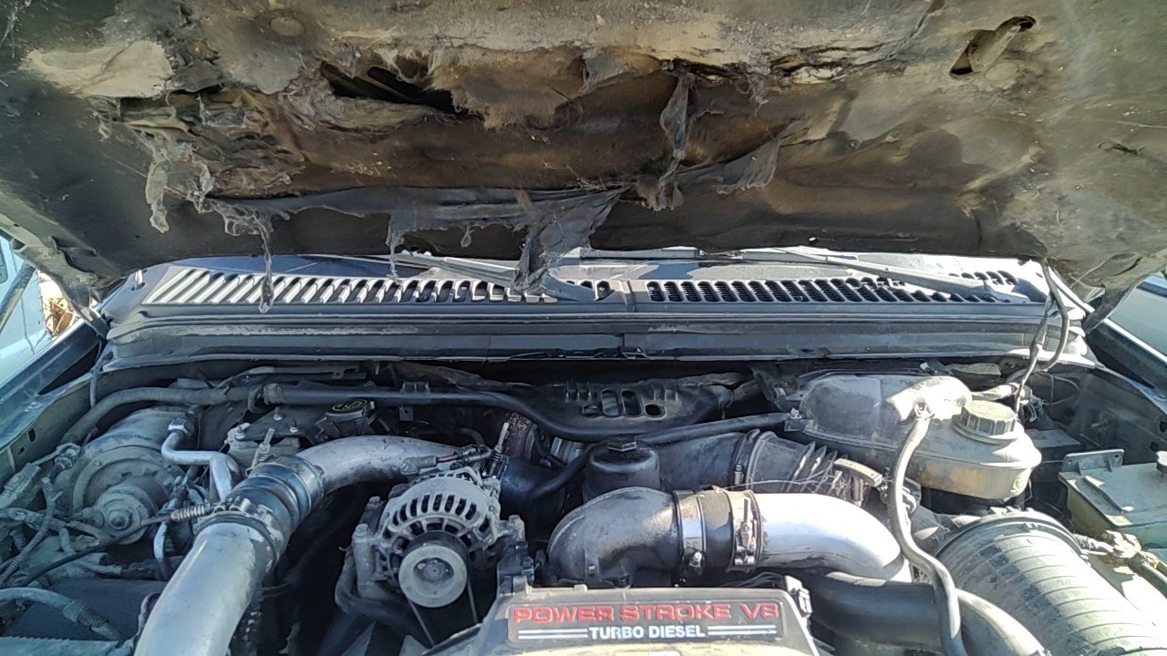 https://f005.backblazeb2.com/file/img-partshotlines-com/Inventory/MA472/Vehicle/30385_05.jpg