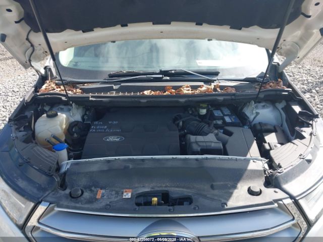 Vehicle/65406_10.jpg