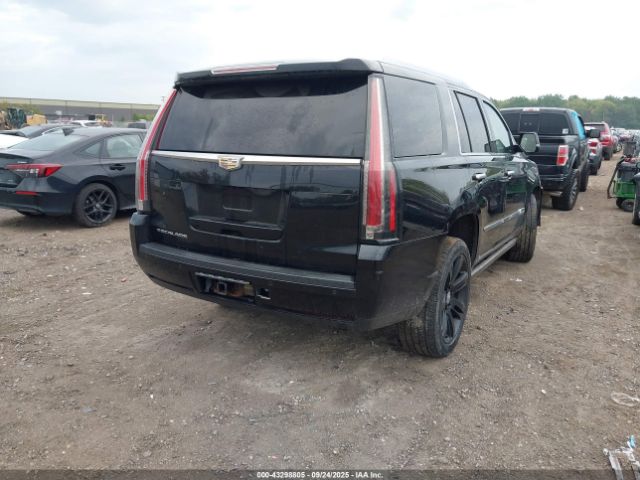 https://f005.backblazeb2.com/file/img-partshotlines-com/Inventory/MA528/Vehicle/67951_04.jpg