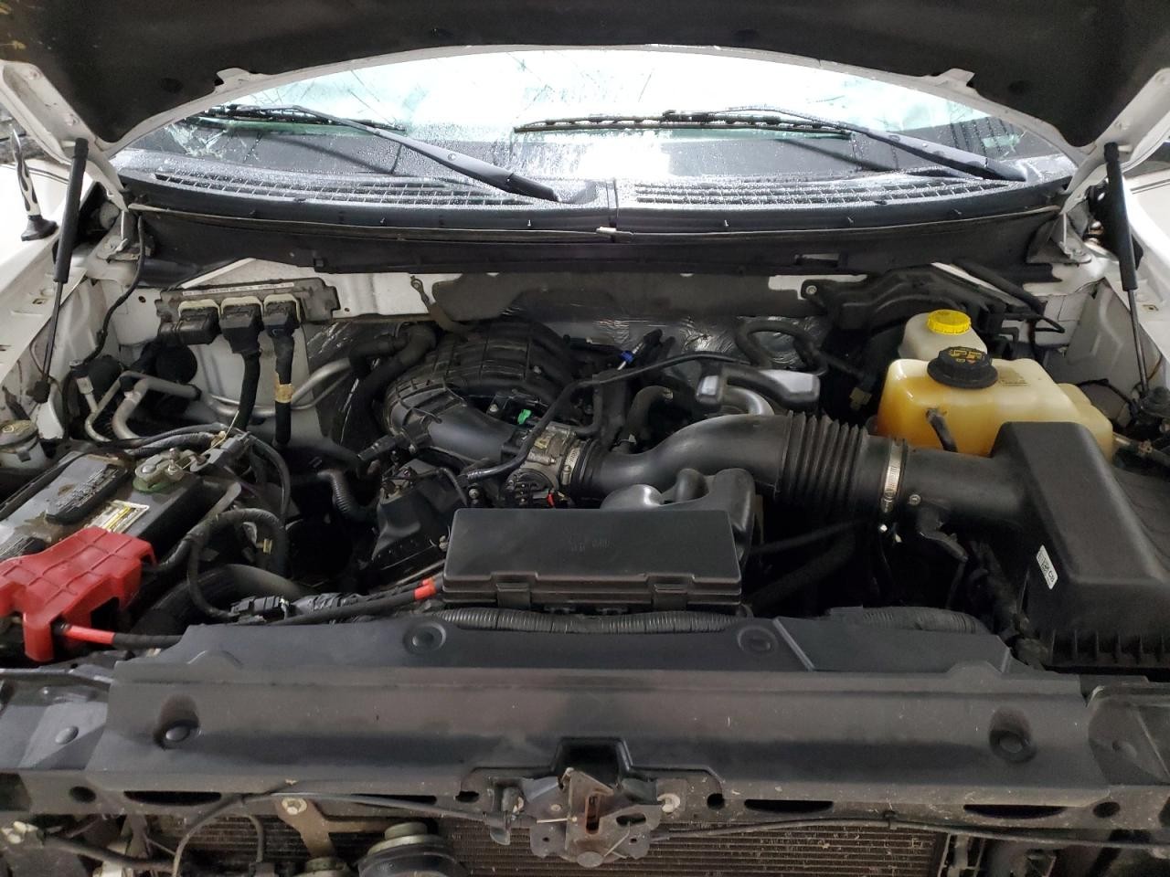 https://f005.backblazeb2.com/file/img-partshotlines-com/Inventory/MA528/Vehicle/68113_03.jpg