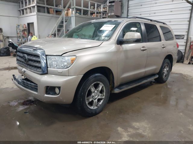 Vehicle/69019_02.jpg