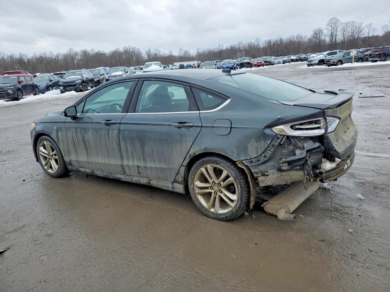 Vehicle/70221_02.jpg