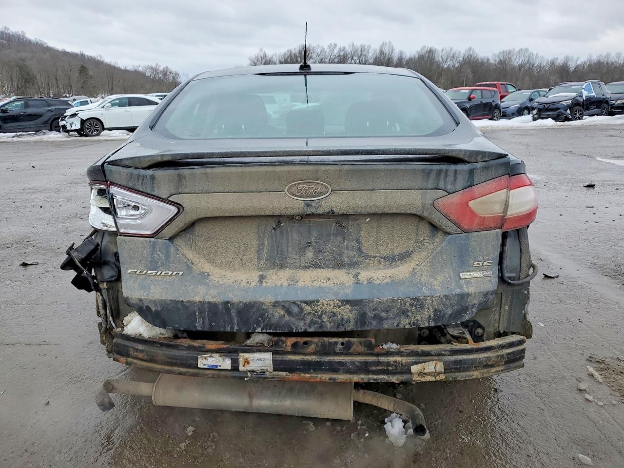 Vehicle/70221_06.jpg
