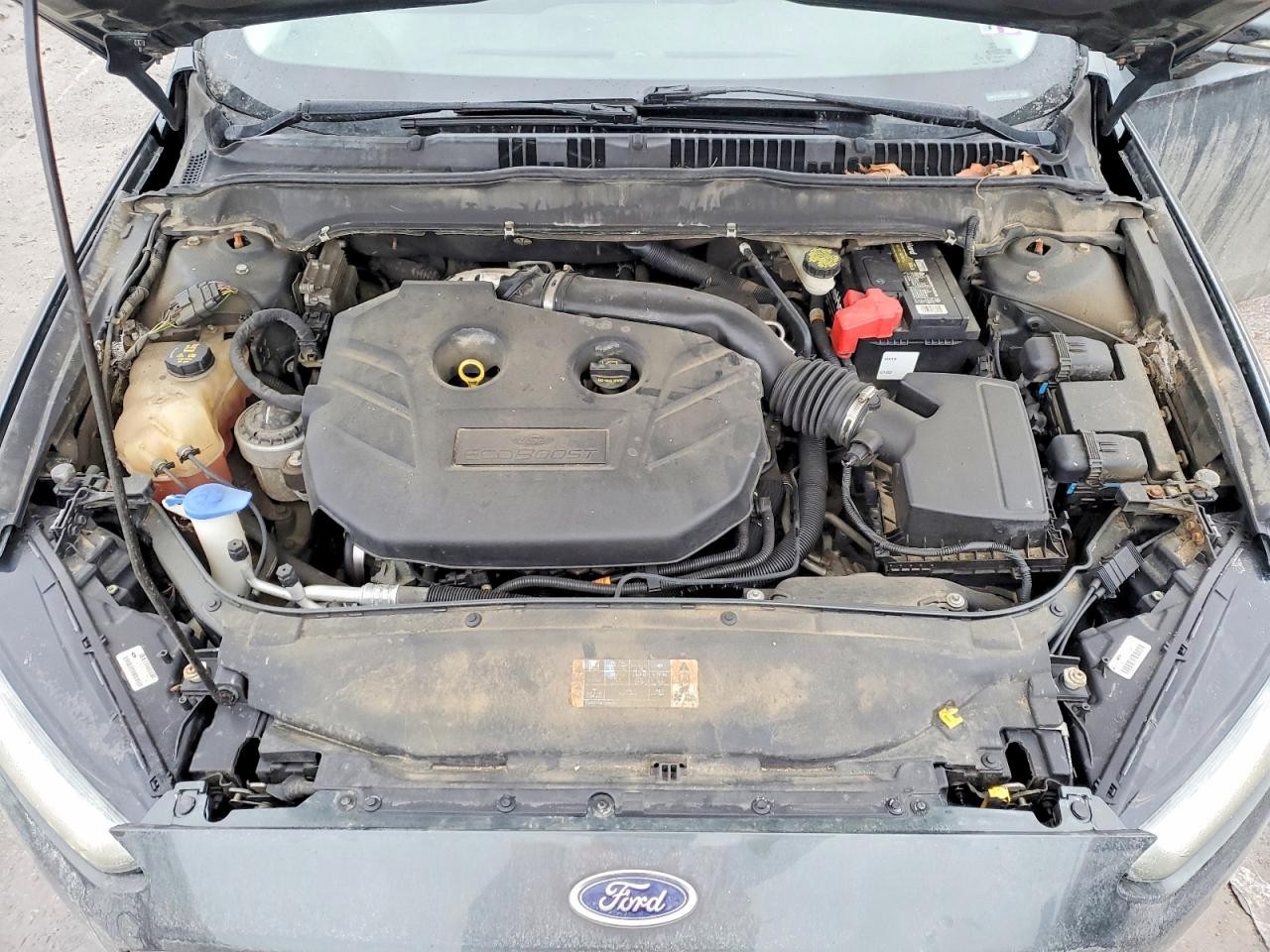 Vehicle/70221_10.jpg