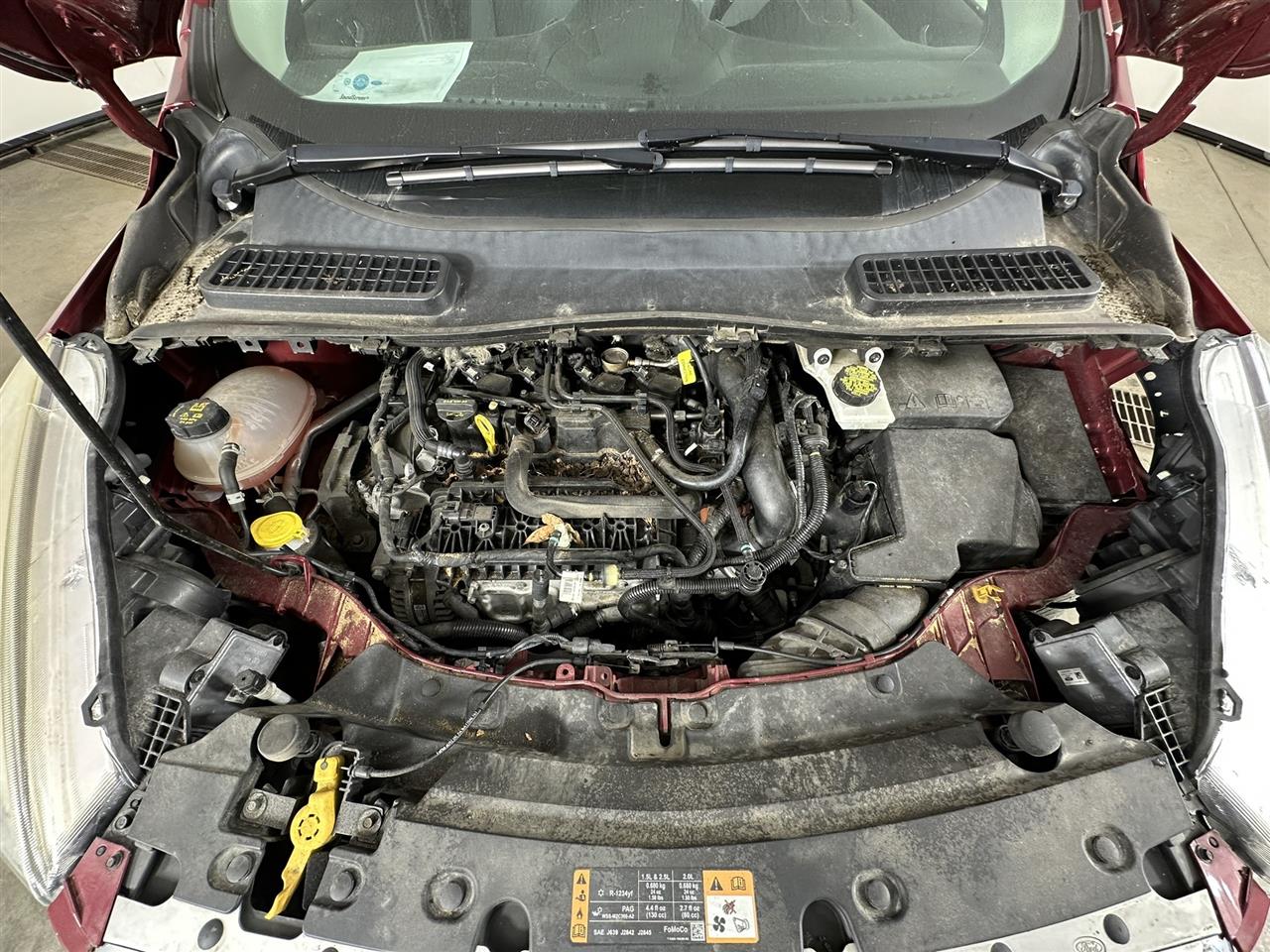 Vehicle/100738_08.jpg
