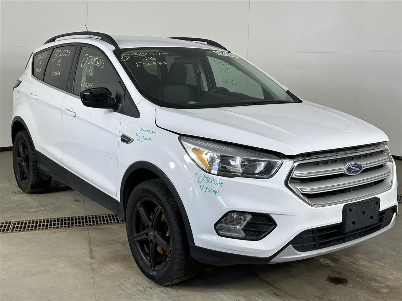 Vehicle/100740_06.jpg